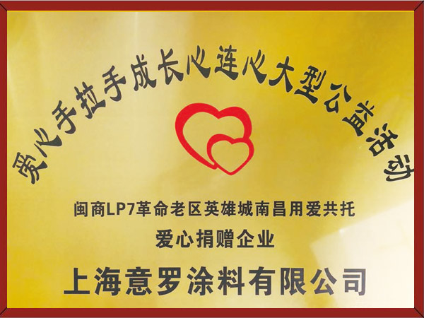 愛心手拉手成長心連心大型公益活動