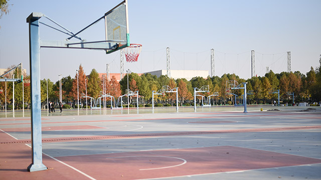 南京經貿學院硅PU球場地坪材料案例！